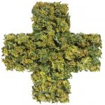 Medical Cross Symbol Made of Marijuana Flowers