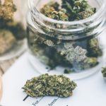 Medical Marijuana & Prescription Pad