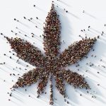 Human Crowd Forming Marijuana Leaf Ariel View
