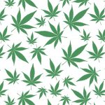 Illustrated Pattern Marijuana Leaves