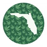 Illustration of Florida with Marijuana Leaf Background