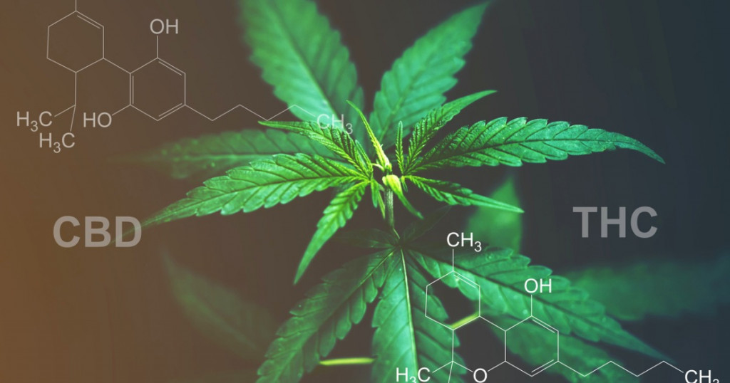 CBD & THC Chemical Structure