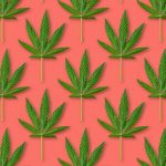 Cannabis Leaf Pattern Illustration