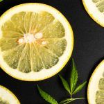 Lemons Terpenes Cannabis