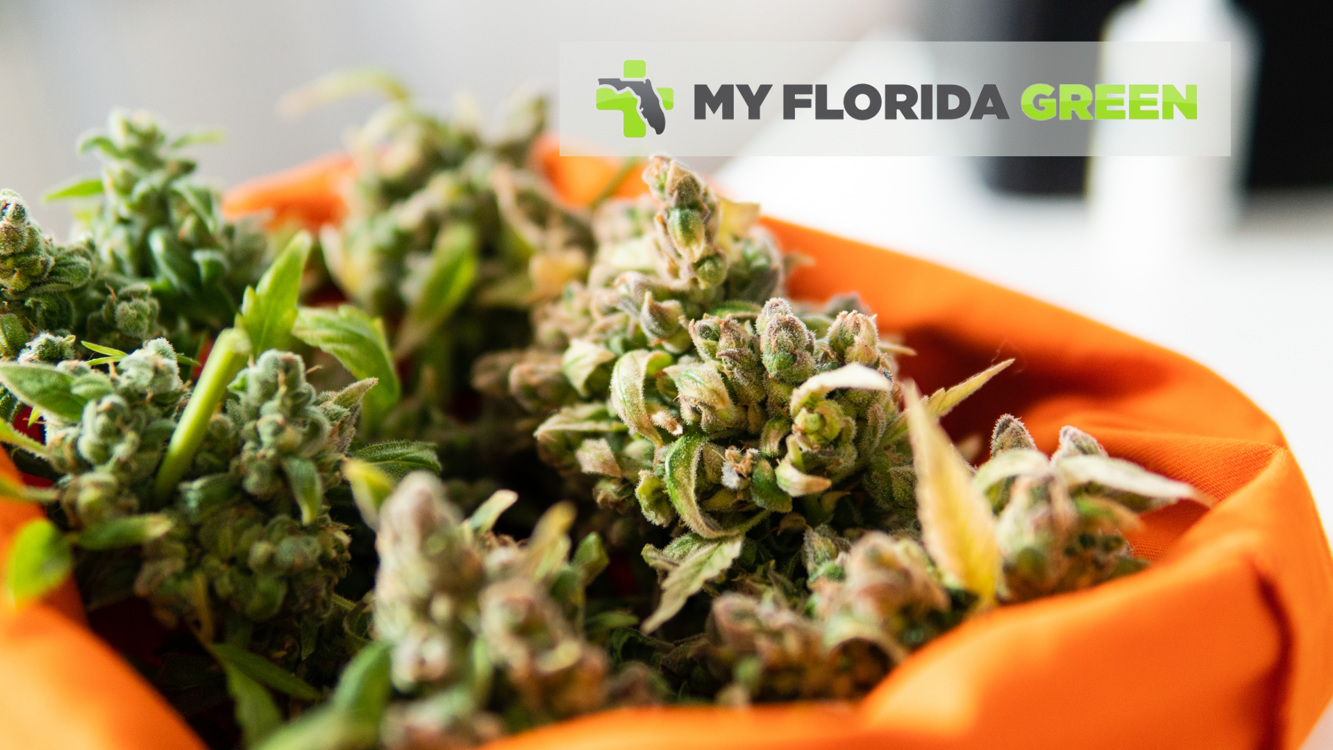 Medical Marijuana Card Sarasota