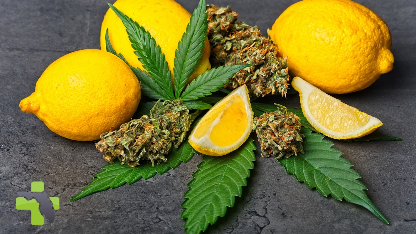 Medical Marijuana Naples