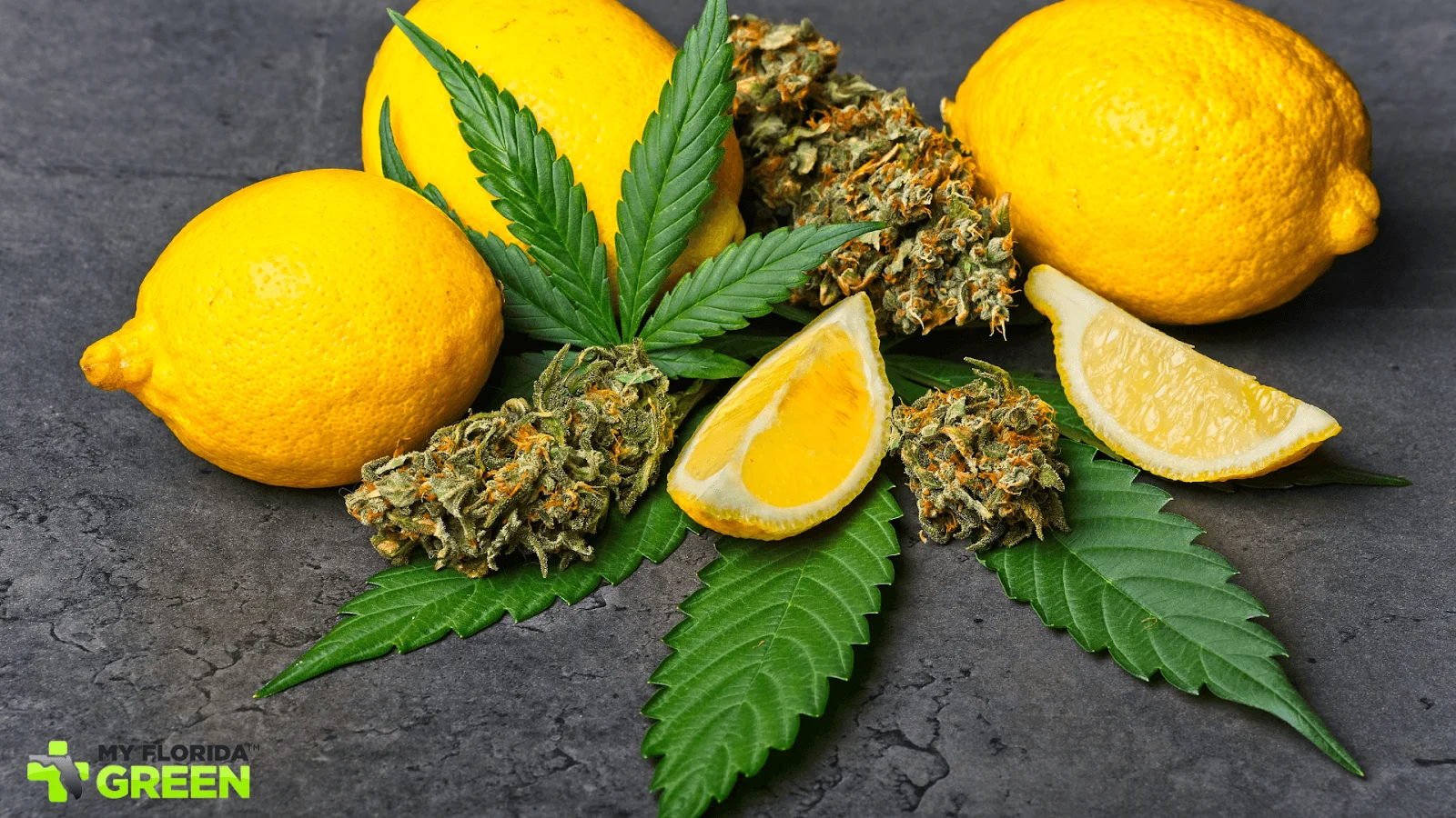 terpenes can interact