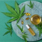 How can you Use Cannabis Capsules in Florida?