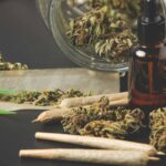 Medical Potential of Cannabis (Marijuana)