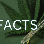 7 Medical Cannabis Facts You Need to Know