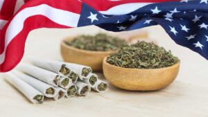 Is Medical Marijuana legal in the USA