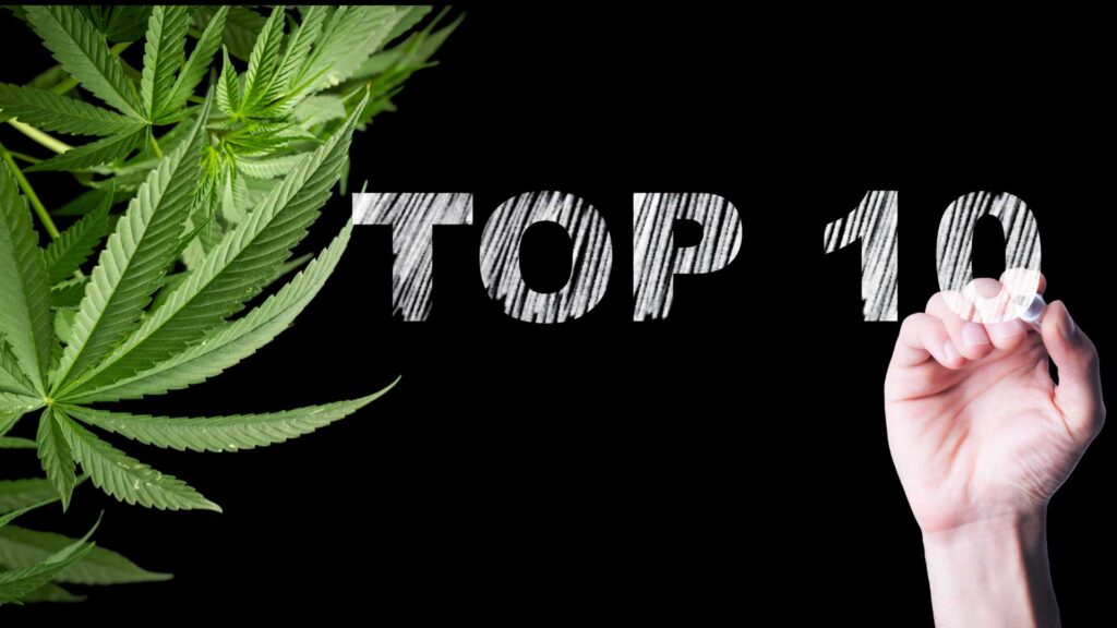 Top 10 Ways to Safely Use Medical Cannabis for Health