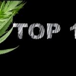 Top 10 Ways to Safely Use Medical Cannabis for Health