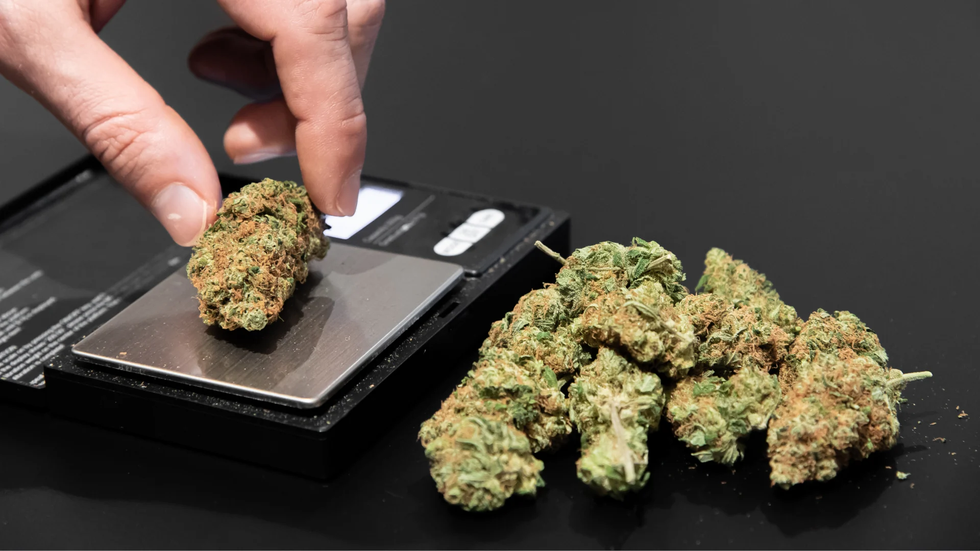 Weed and Weight loss: Does weed make you lose weight?