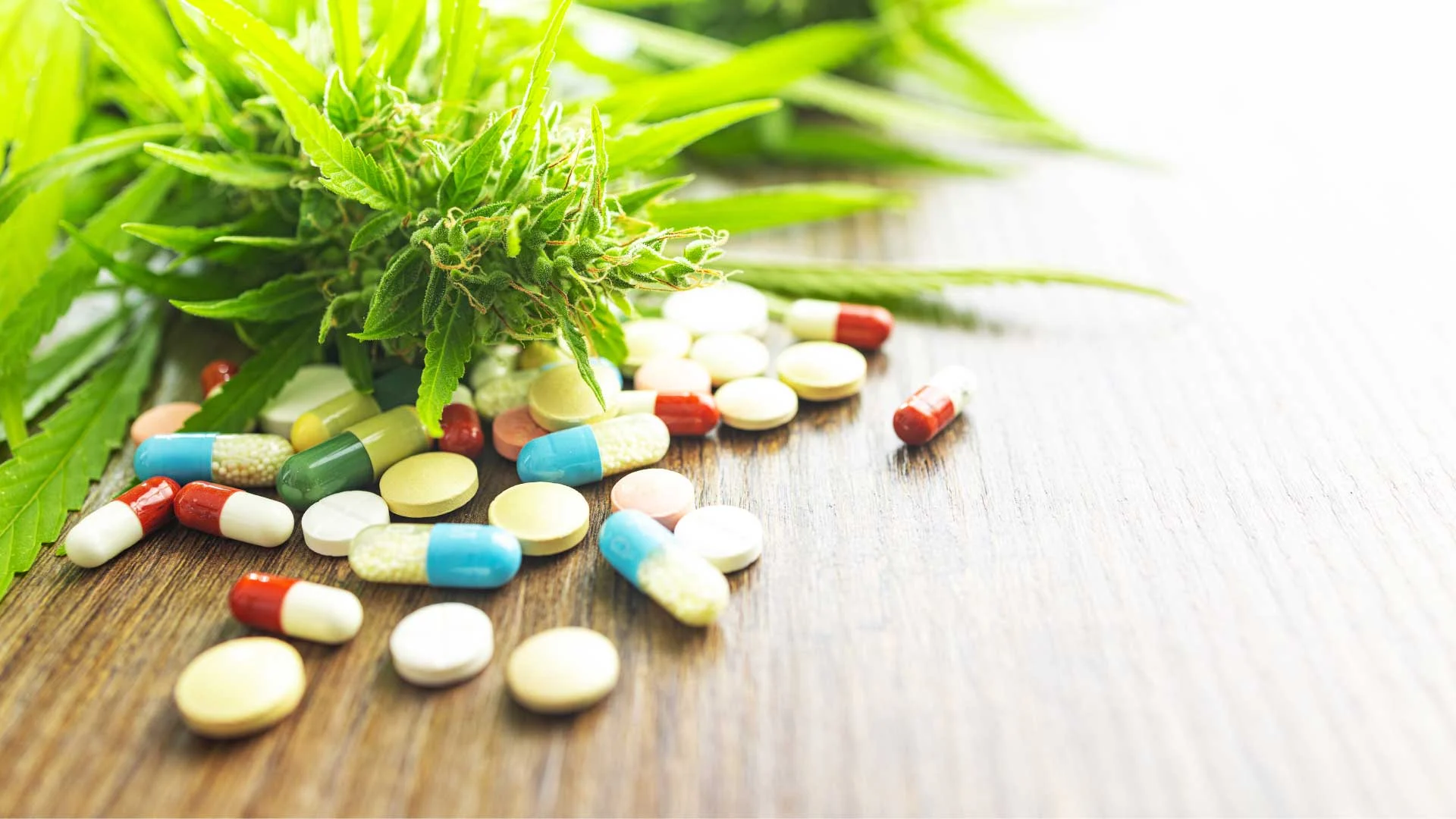 Is it Safe to Consume Cannabis While Taking Antibiotics?