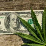 Smart ways to cut costs on Medical Marijuana