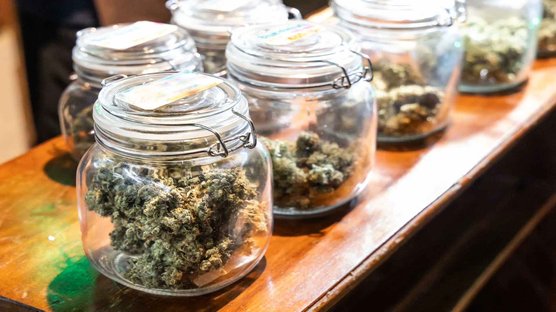 How Long Does Marijuana Stay Fresh? Tips to Improve Shelf Life of Weed 