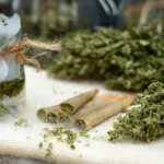 How to Get Rid of the Weed Smell: Try these 7 Best Ways