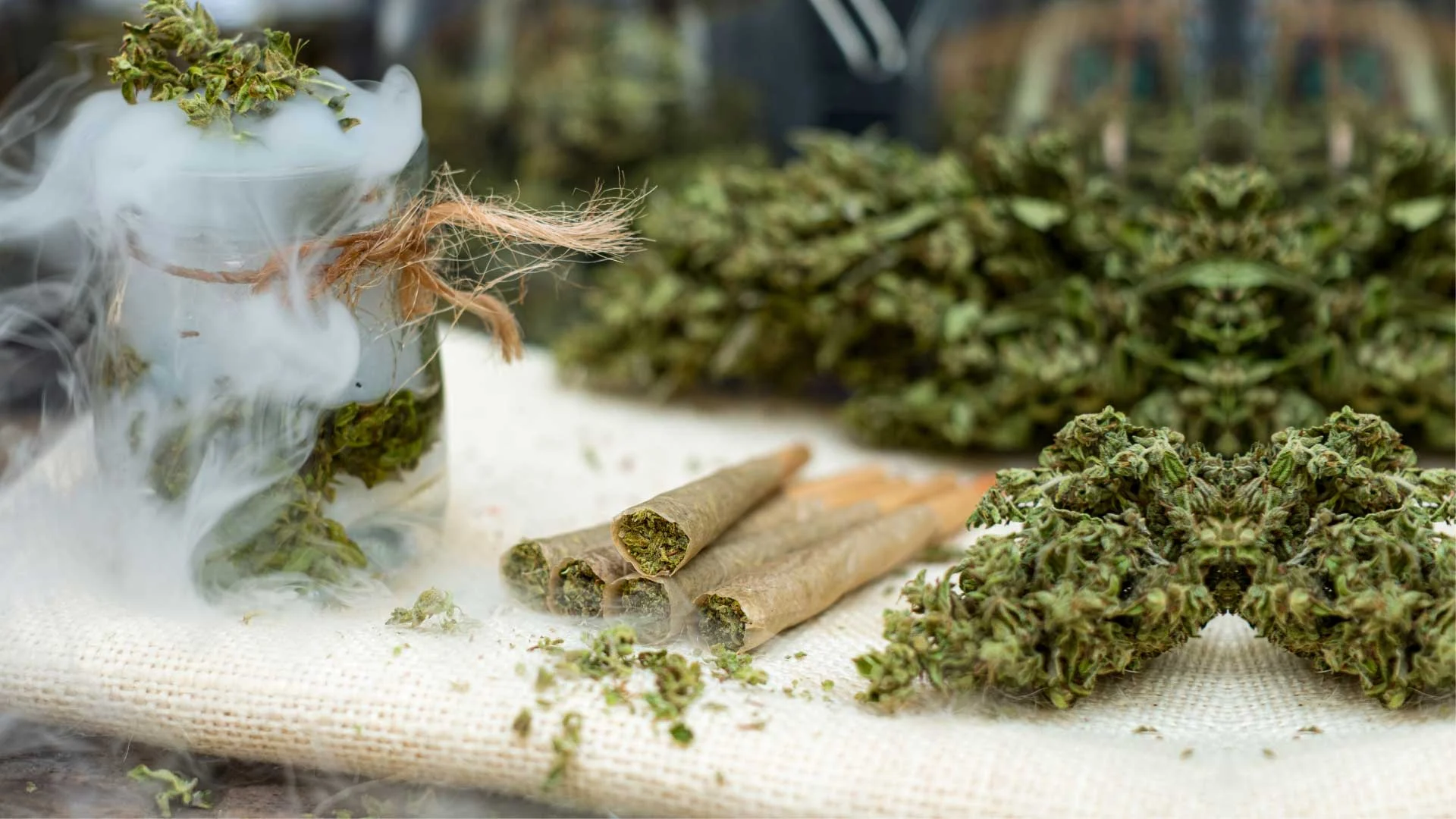 How to Get Rid of the Weed Smell: Try these 7 Best Ways