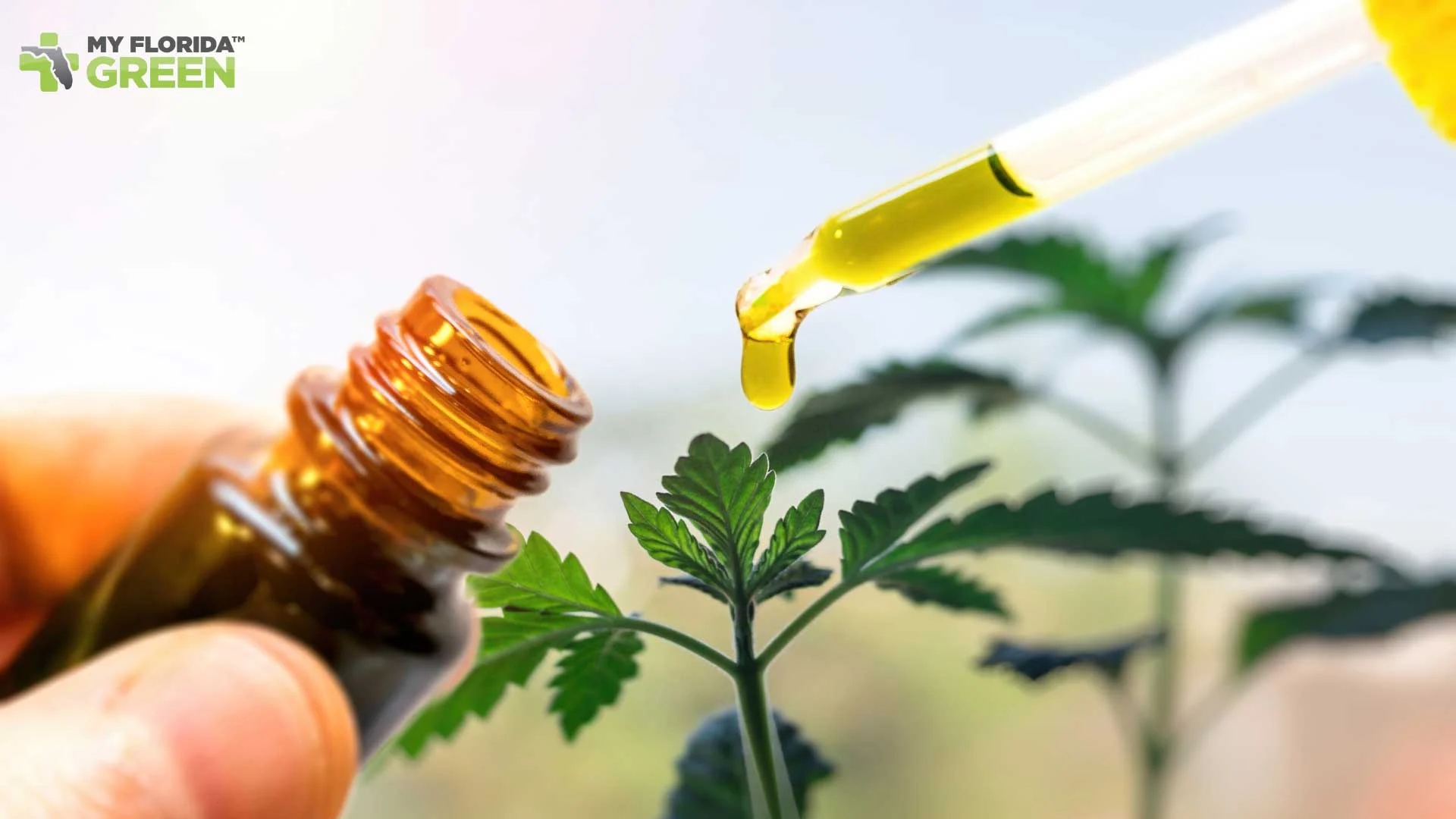 How to Use Cannabis Oil Safely & Effectively