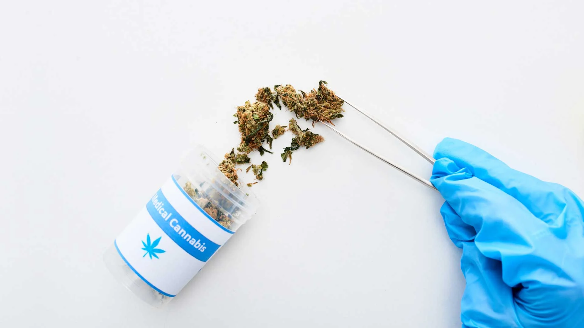 Medical vs. Recreational Weed: Differences to Know Before Use