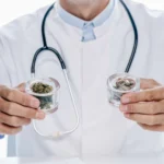 Medical vs. Recreational Weed: Differences that Every Cannabis User Must Know