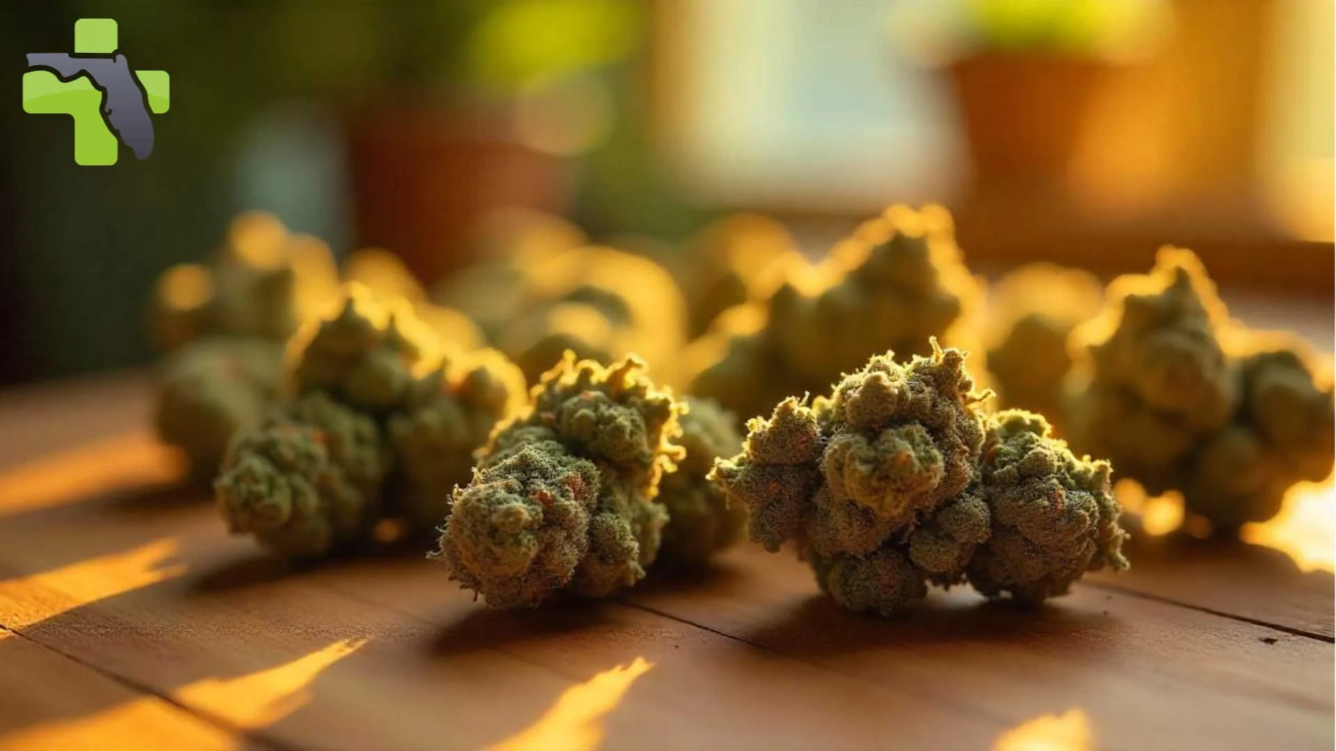 How to Understand Weed Measurements Before Buying