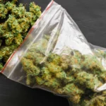 What Is a Zip of Weed? Prices & Conversions Guide