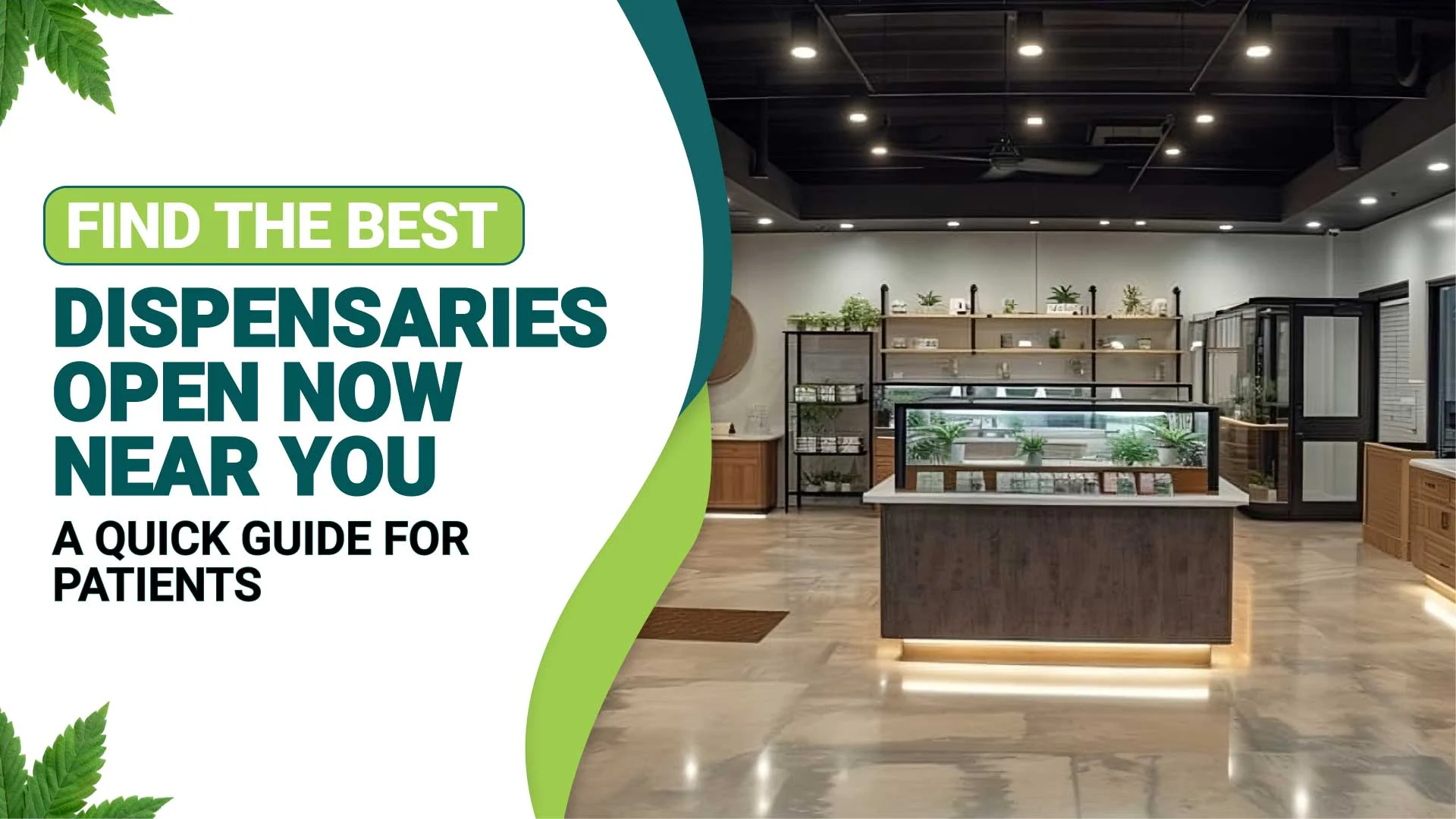 Dispensaries Open Now Near Me: Buy Cannabis Late-Night