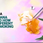 What Is a Marijuana Dab and How Is It Different from Smoking Weed?
