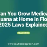 Can You Grow Medical Marijuana at Home in Florida? 2025 Laws Explained