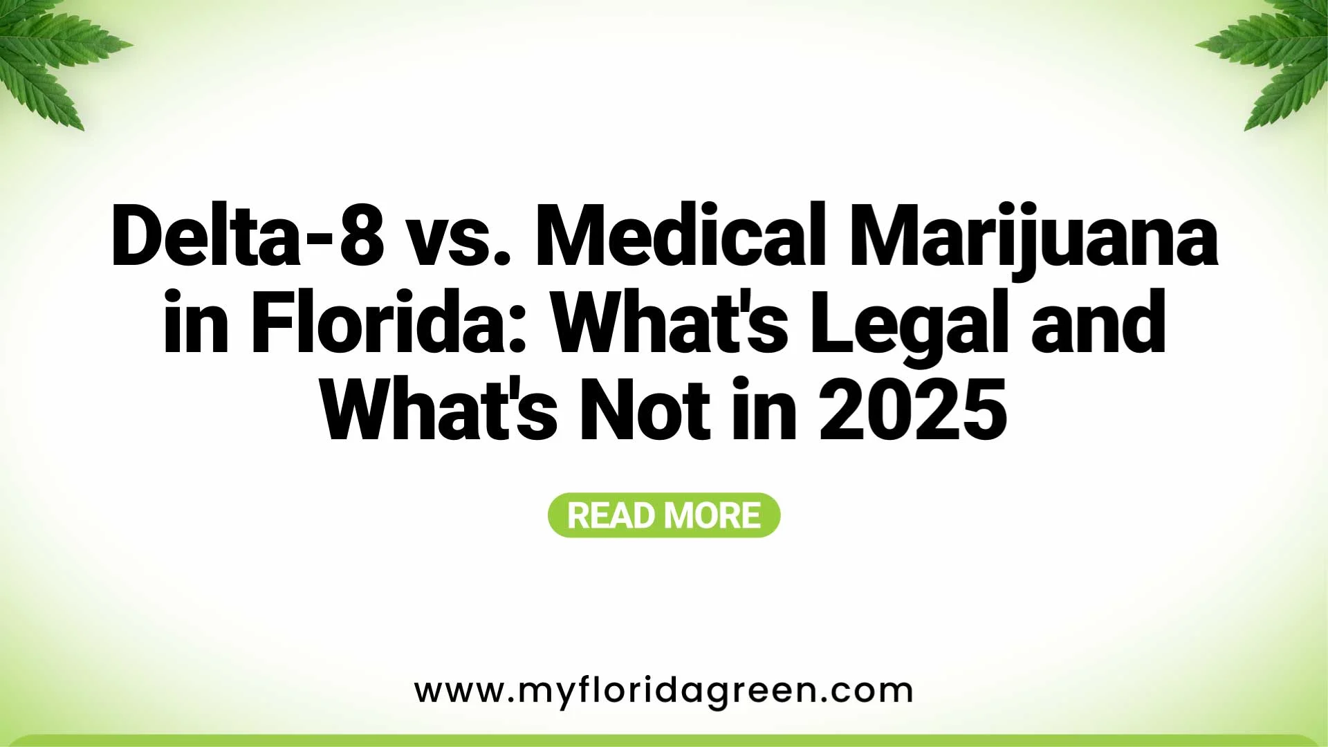 Delta-8 vs. Medical Marijuana Florida: Law, Access & 2025 Rules