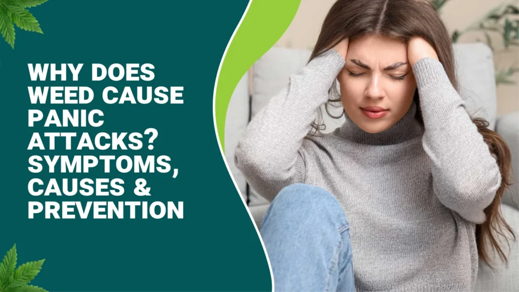 Why Weed Causes Panic Attacks & How to Prevent It
