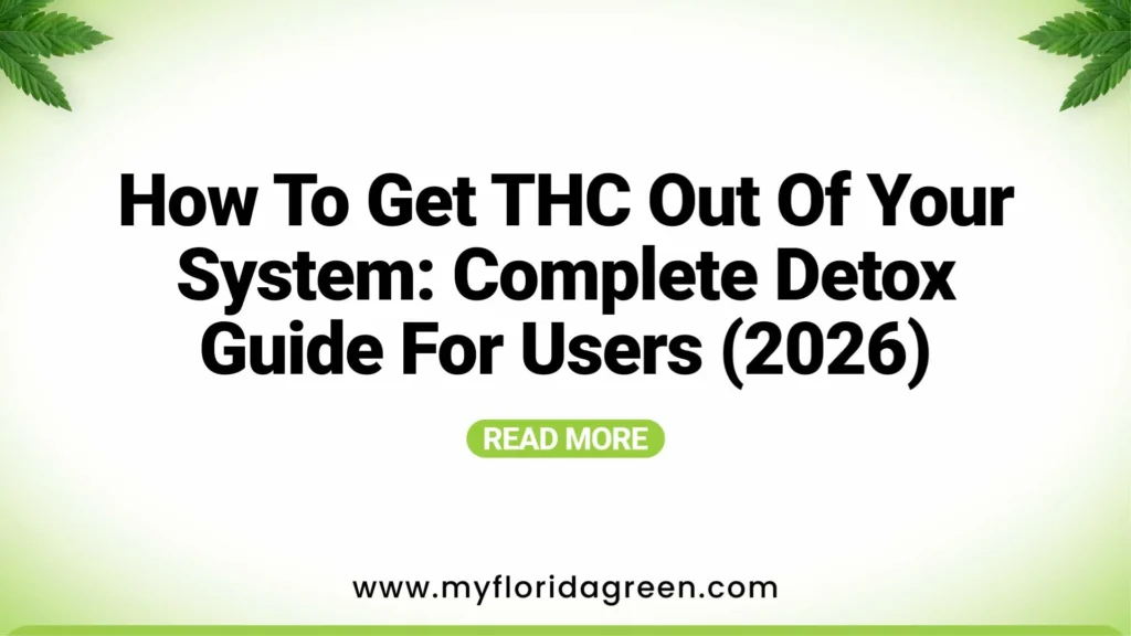 How to Get THC Out of your system