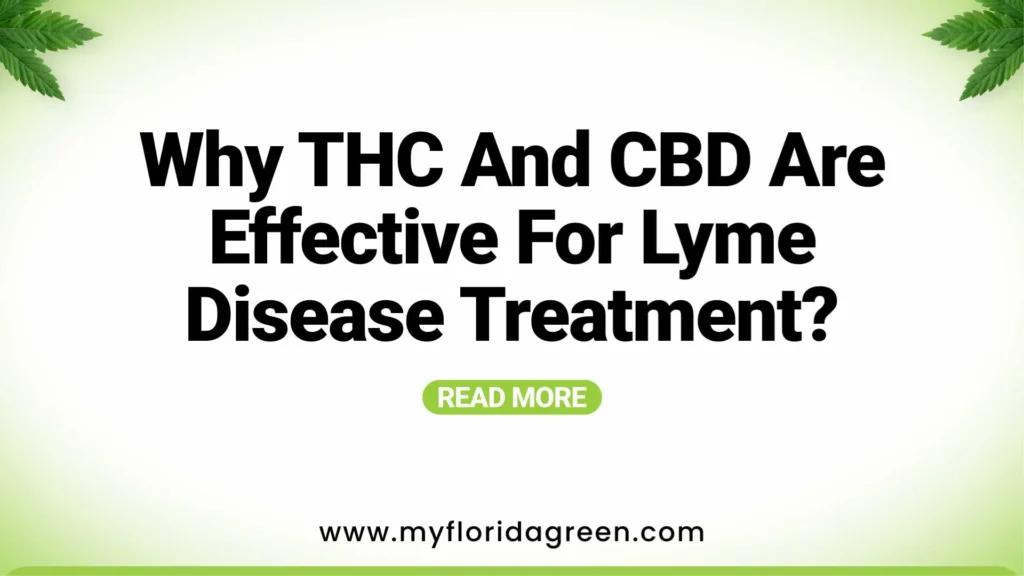 Why THC and CBD are Effective for Lyme Disease Treatment
