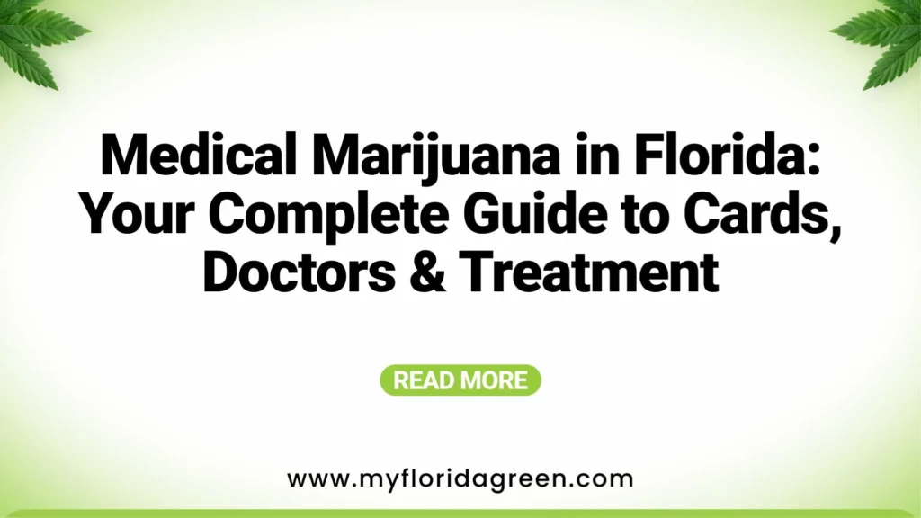 Medical Marijuana in Florida 101: Beginner's Guide