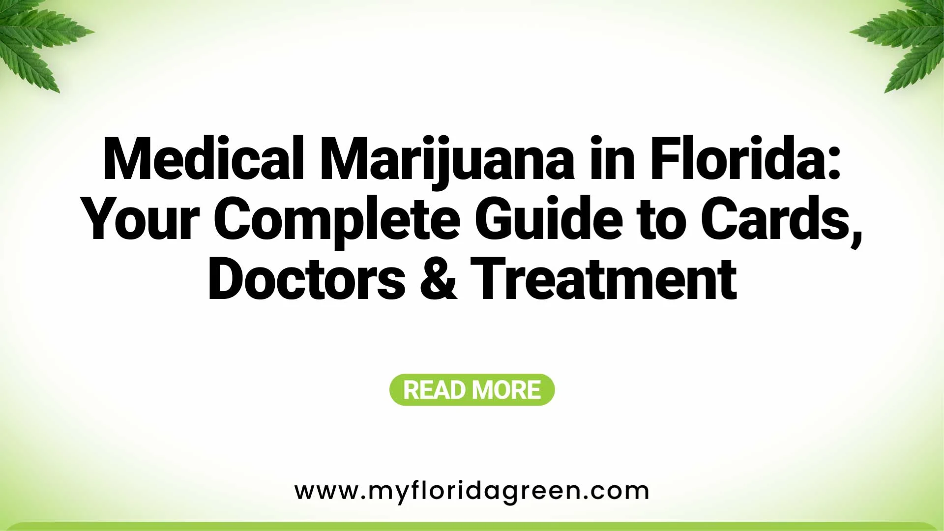 Medical Marijuana in Florida 101: Beginner's Guide