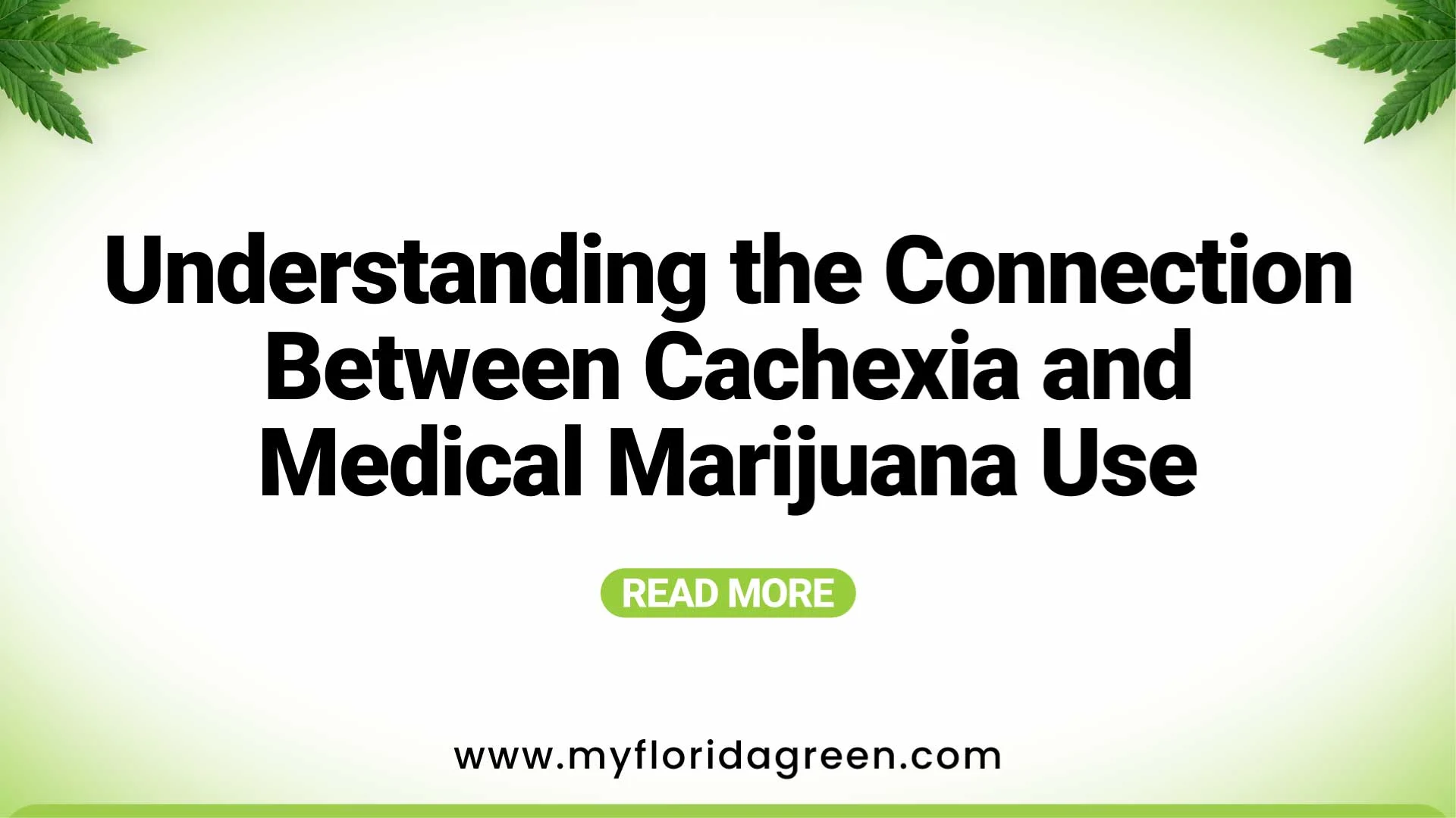 Understanding the Connection Between Cachexia and Medical Marijuana Use