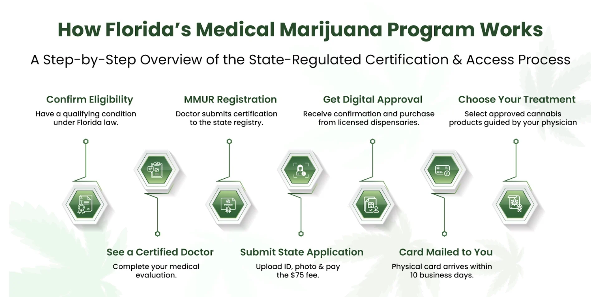 What Is Medical Marijuana and how does it work in Florida?