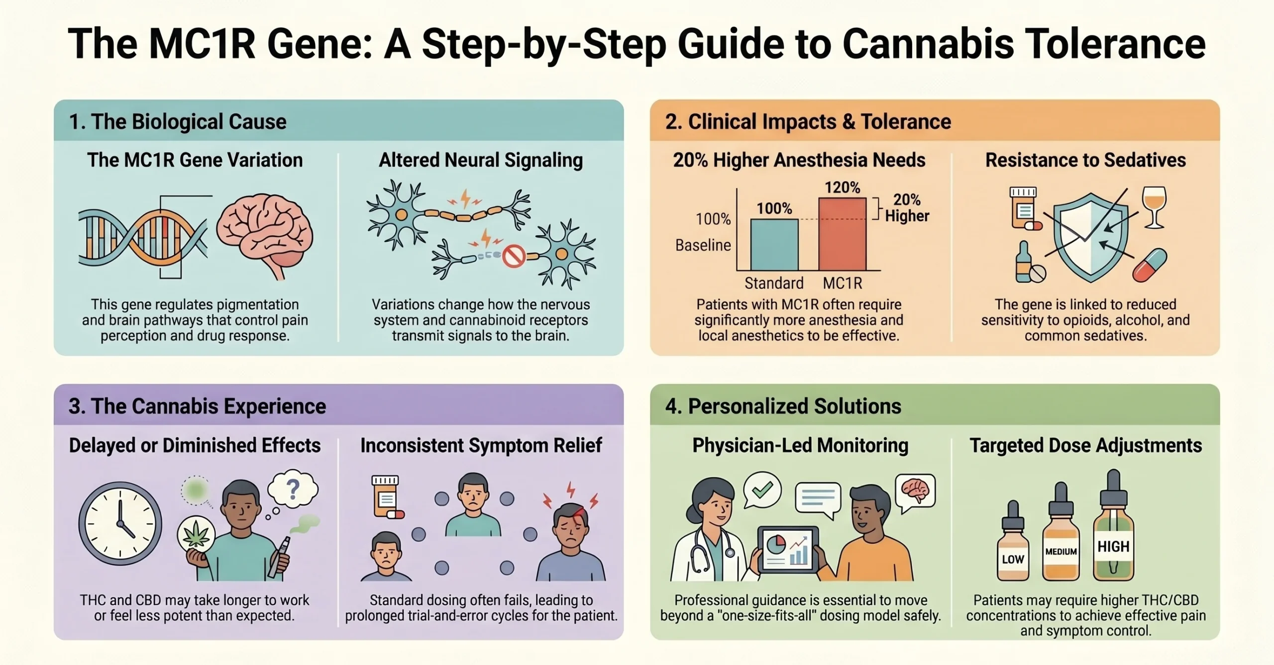 The MC1R Gene: A Step-by-Step Guide to Cannabis Tolerance